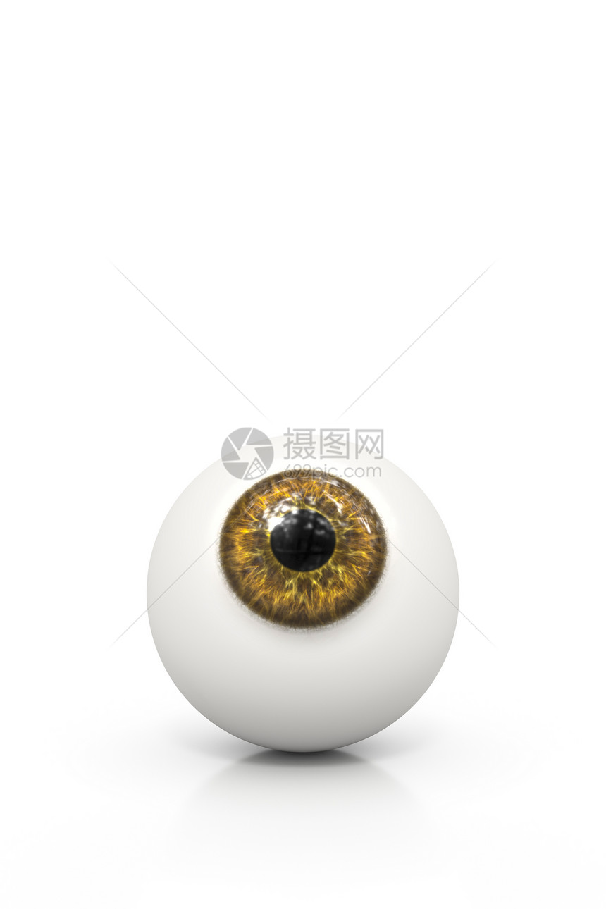 反射3d显示白色的棕眼球被隔离在白色上插图观看图片