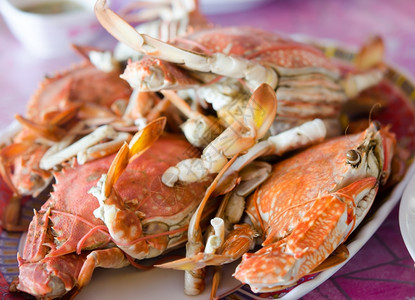海洋蒸螃蟹鱼肉盘上的食物美蒸熟图片