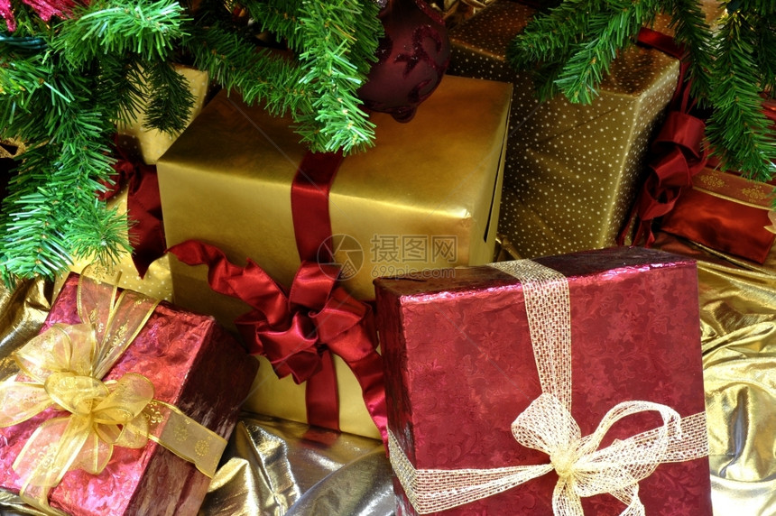 本迪克森展示假期红金包的圣诞礼物在一棵装饰的树之下圣诞图片