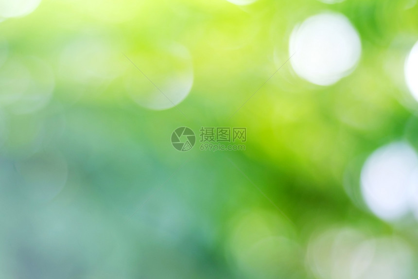 蓝绿树叶布基背景抽象绿色自然背景的模糊绿树叶阳光颜色抽象的图片