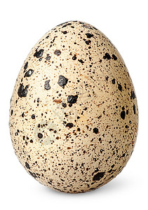 流黄鸡蛋在白色背景上隔开的单蛋垂直黄维他命美食家设计图片