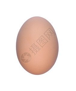 农产品鸡蛋背景图片