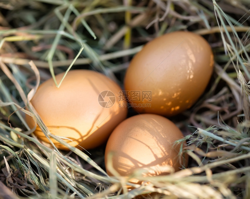 三个鸡蛋躺在稻草上图片