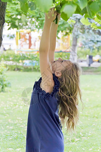 欧洲的金发学龄前儿童夏天的可爱女孩想跳树图片