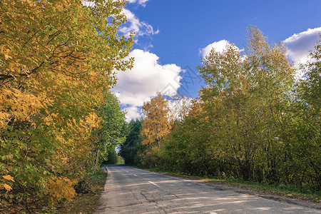 秋高气爽蓝天白云下的道路图片