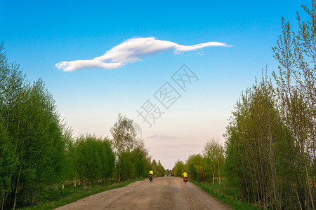 在绿树之间的一条泥土路上和春夜的美丽云朵之间蓝色健康天空图片