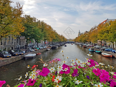 镇家城市风景荷兰阿姆斯特丹市风景来自荷兰阿姆斯特丹图片