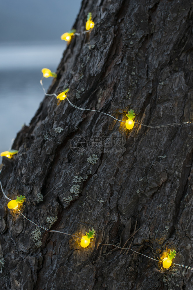 自然圣诞灯在树上亮着菠萝形状火花散景图片