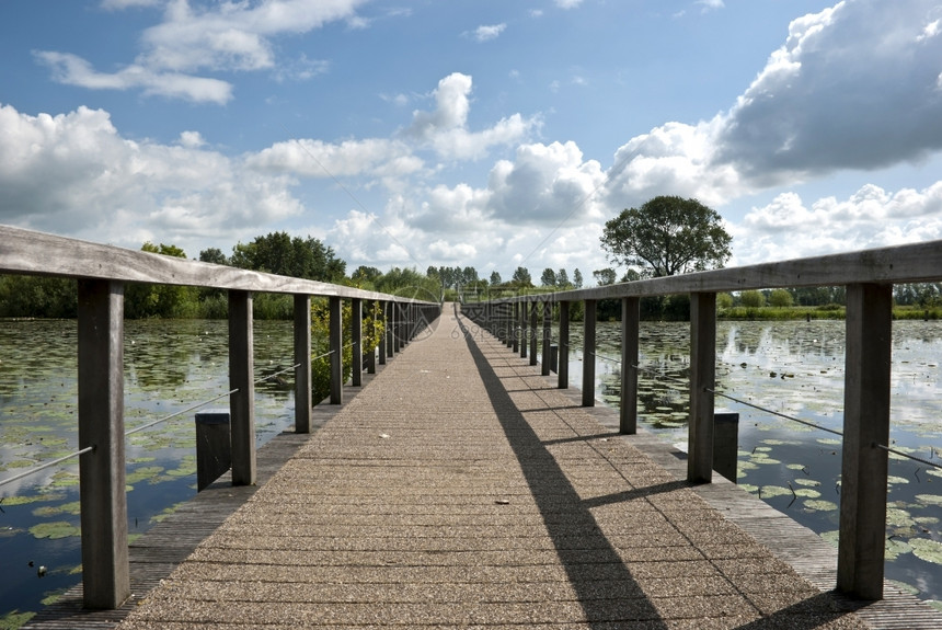 荷兰Bodegraven的Wooden桥通往堡垒植物晴天沉默的图片