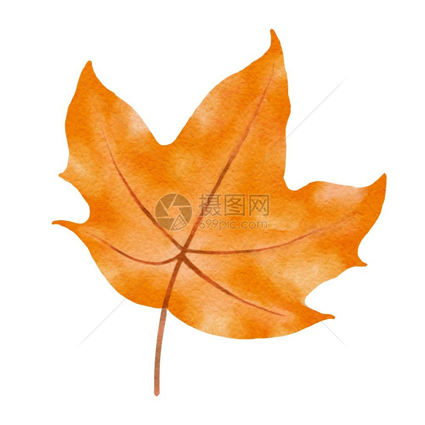 秋天的树叶水彩风格图片