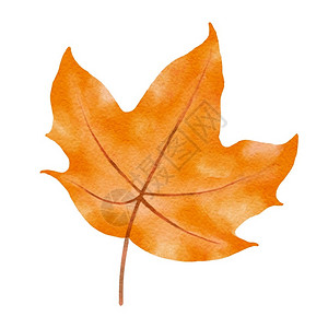 秋天的树叶水彩风格图片