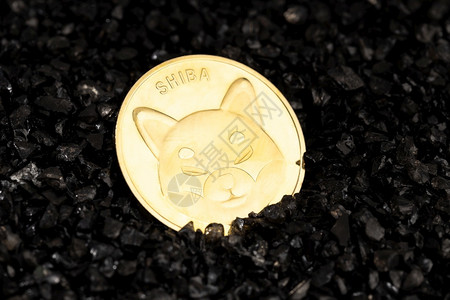 钱黑砾石上的Shiba硬币加密货连锁资金碎石区块链图片