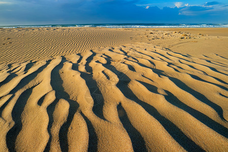 平静的风景清晨色海滩南非沙上有风吹模式景优美图片