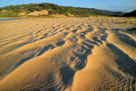 早期的阳光清晨景色海滩南非沙上有风吹模式平静的图片