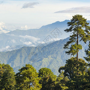 风景优美森林危地马拉圣科斯附近山地景色的脉美国图片