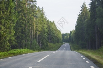 斯堪的纳维亚夏季在瑞典达尔斯兰的清空沥青森林道路转弯空的涂柏油图片