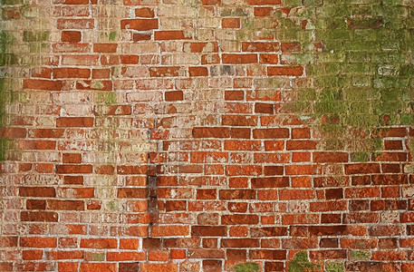 质地水泥绿色旧废弃教堂内肮脏的红砖墙背景图片