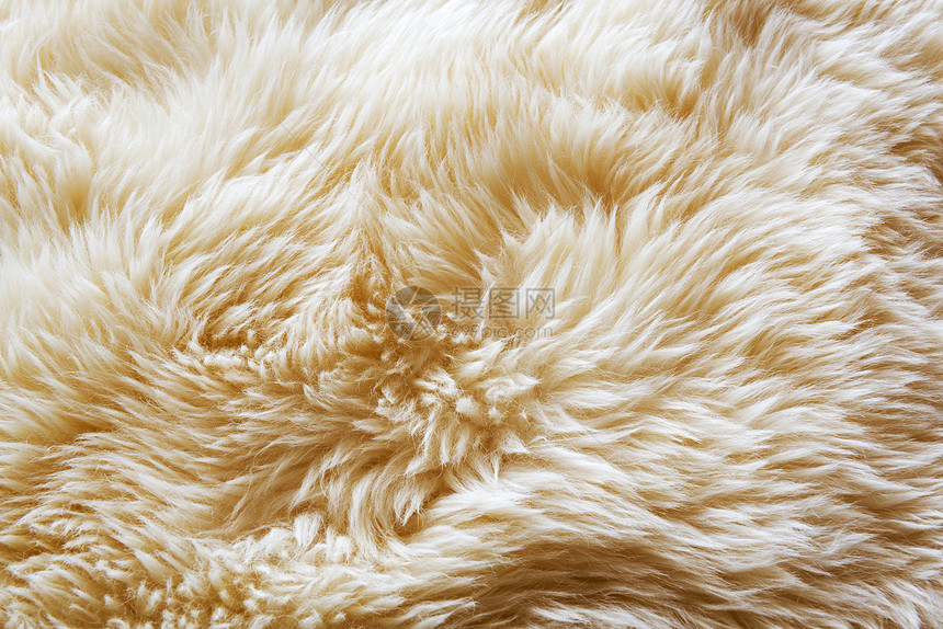 小地毯白色的羊皮地毯华美毛质料图片