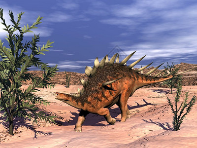 暴龙科史前吃风景在沙漠中走里食用类植物的恐龙3D转化设计图片