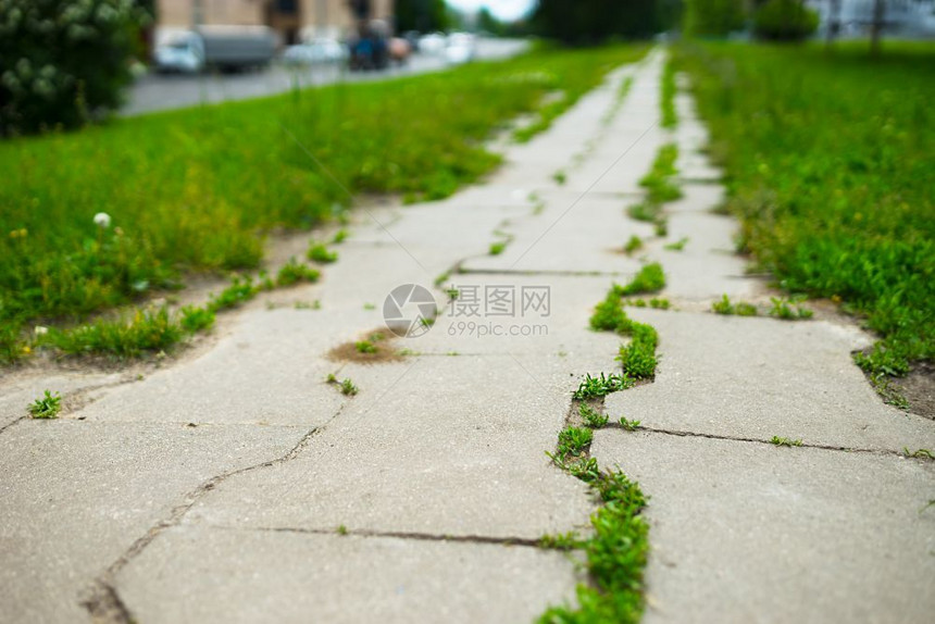 方向富有的充满活力公园夏季城市道路背景公园夏季城市道路背景hd图片