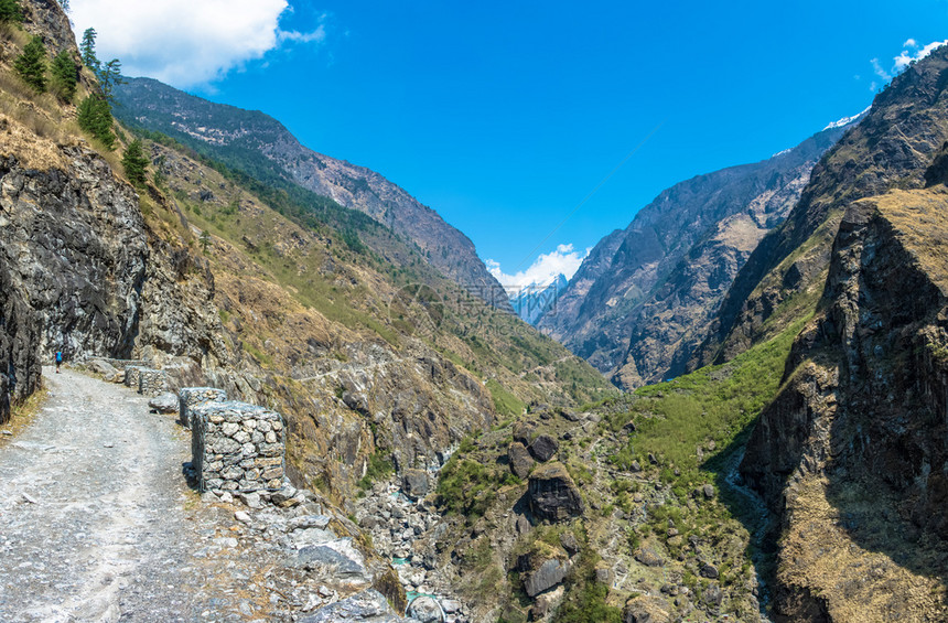 冒险美丽的尼泊尔春日喜马拉雅山的泥土路风景图片