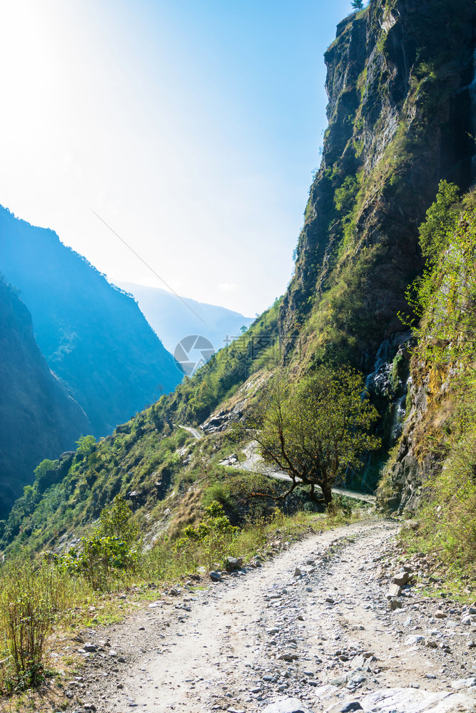 风景优美徒步旅行丽的尼泊尔春日喜马拉雅山的泥土路图片