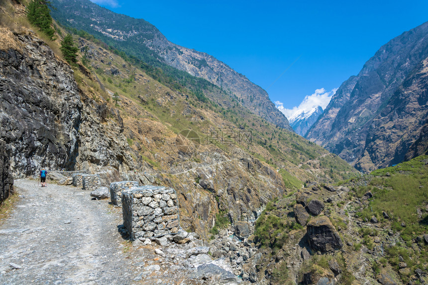 风景美丽的春天尼泊尔日喜马拉雅山的泥土路图片