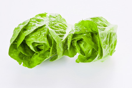 绿色的青菜图片