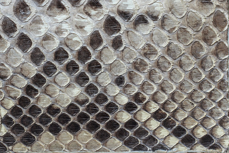 蛇皮作为背景或纹理的碎片硅皮质结层纺织品灰色的皮革图片