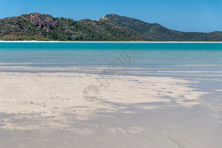 热带澳大利亚Whitsunday群岛的白海滨滩圣灵降临节夏天图片