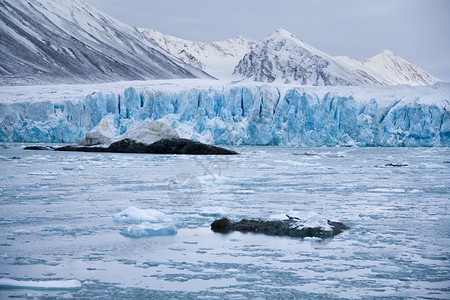 挪威冰川冰川以1980年代Monaccorsquos到Spitsbergen的阿尔贝二世亲王命名冰川宽6公里高30至6米在2世纪8年代它背景