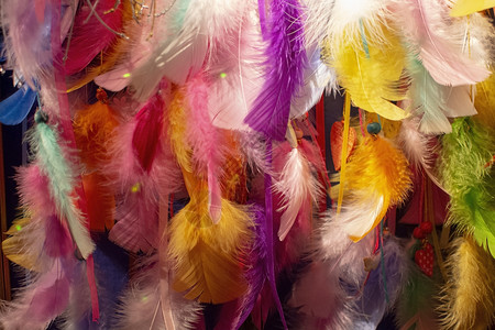 粉红色橙黄紫蓝背景纹理的多彩羽毛收集格中彩色羽毛收集格中概念的装饰风格珍珠背景图片