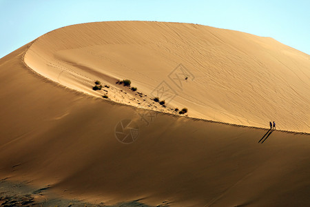 干燥的非洲纳米比亚索苏韦莱纳米布沙漠努瓦克卢夫公园的Dune散步艾伦图片