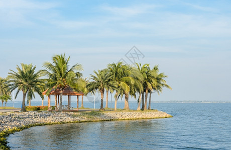 云展馆在岸边种植椰子棕榈树的园圃蓝色图片