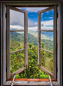 旅行屋开窗看牙买加蓝山开窗看种植园图片