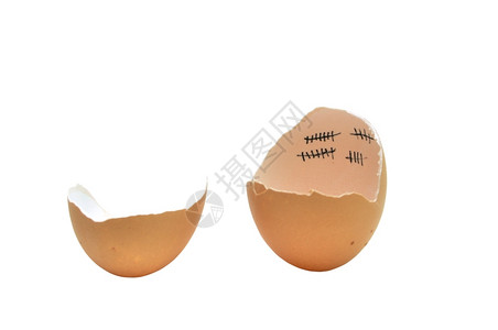 数孵化蛋壳上的白有鸡宝耐标记等待背景图片