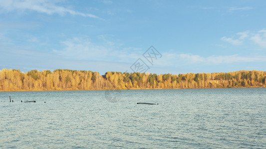 一种浅海在表层的湖泊和对岸蓝天空云雾的秋森林蓝色空与乌云相对蓝色的支撑背景图片