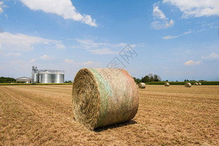 农牧业本底粮谷井上蓝天和云层的空风景图案调查轧制小麦草垛图片