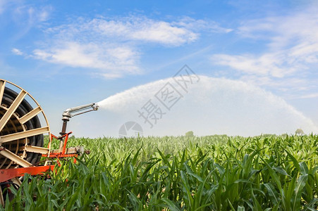 乡村的玉米田水喷洒器的泵抽装置在玉米田用水喷洒器现场抽栽培纳达林图片