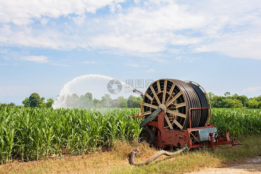 玉米田水喷洒器的泵抽装置在玉米田用水喷洒器现场抽植物管子玉米图片