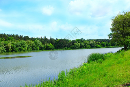 有绿色森林和河流的景观有绿色森林和河流的夏季景观节松树木头图片