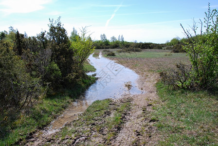 农村湿的泥土路在西德岛的奥地有很多水天空图片