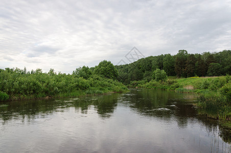 绿色俄罗斯科洛沙河夏季傍晚平静的河流过森林夏天动的环境高清图片素材