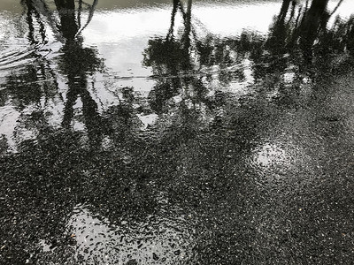 柏油路下雨公园树影反射成人行道阳光阴图片