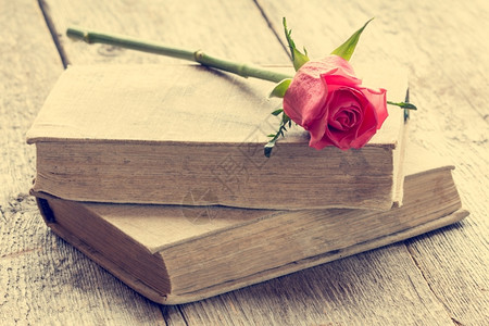 纸老的打印两本有玫瑰的旧书躺在地板上图片