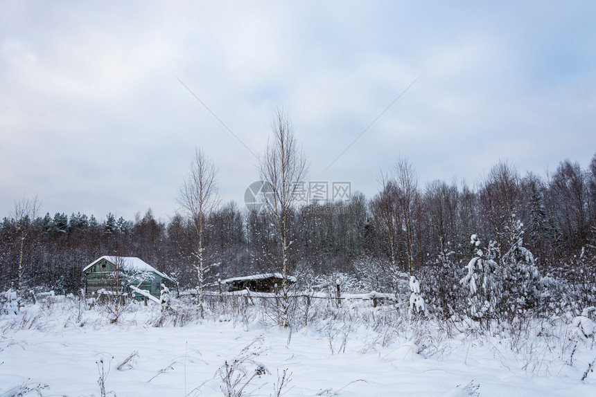 俄罗斯霜下雪的美丽冬季风景在寒冷的云天上废弃旧木制建筑图片