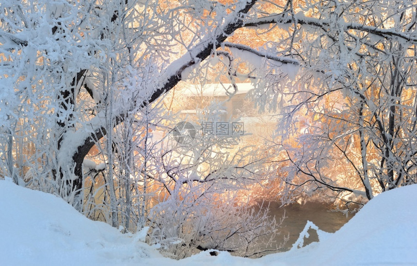 旅行经过天气白树枝在阳光照耀的河流前面有冻结的冰霜图片