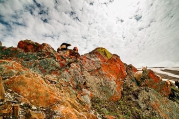 顶峰岩石覆盖着苔和的巨石山云图片