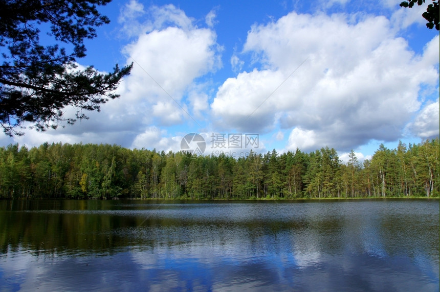 农村冷静的蓝天背景下湖泊和树木明亮的图片