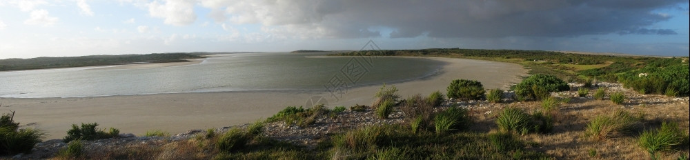 南澳洲部泥滩的板全景观平坦的浪潮自然图片